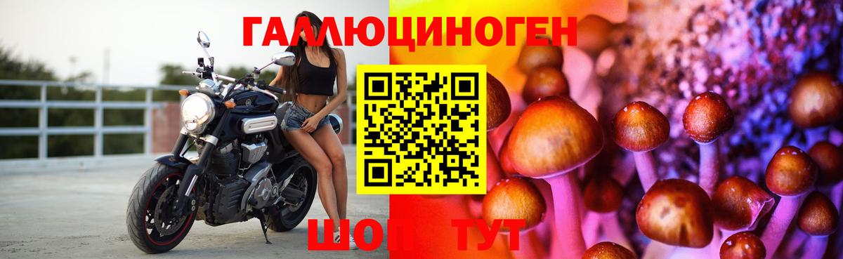 Галлюциногенные грибы прущие грибы  Галлюциногенные грибы GOLDEN TEACHER  купить наркотик  Ялуторовск  Вход с VPN 